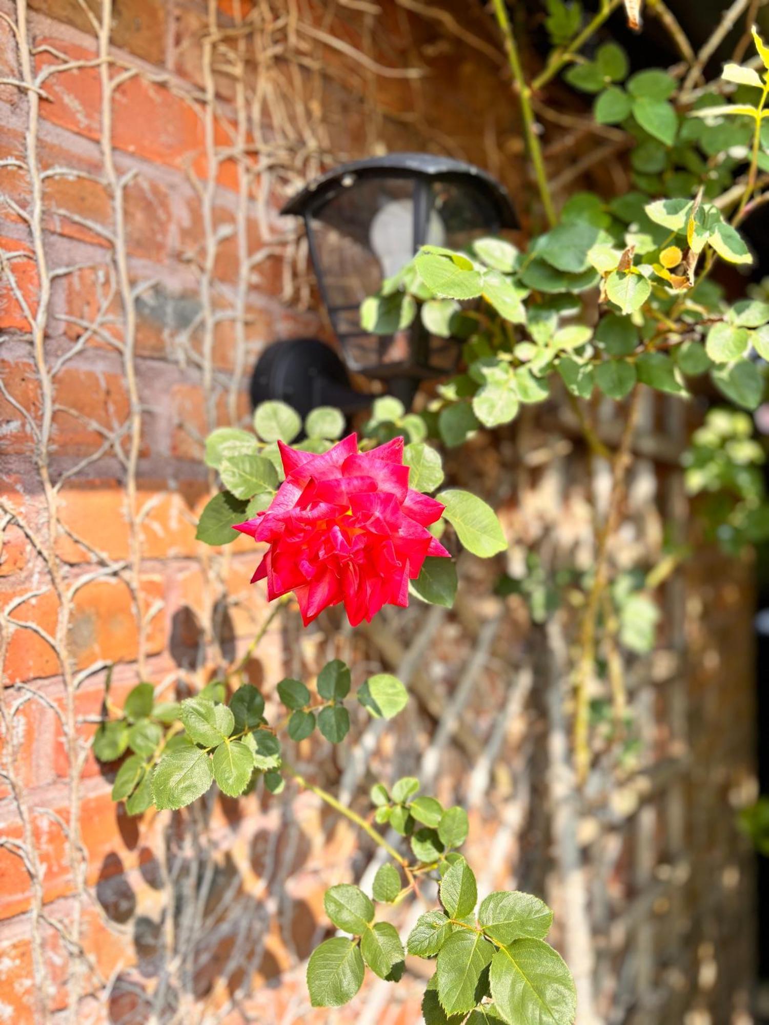Holiday home Cosy Countryside In An Area Of Outstanding Natural Beauty Barham