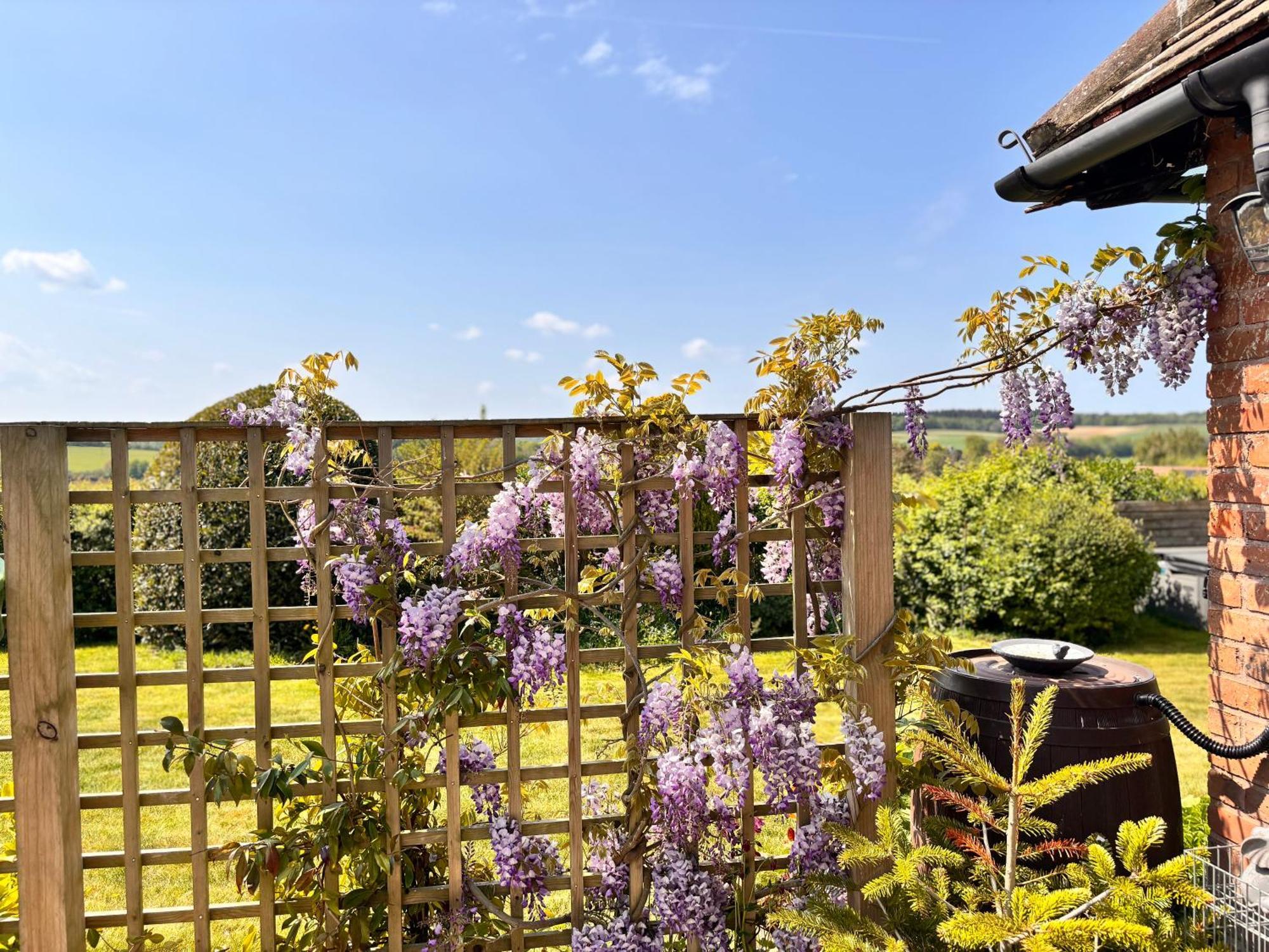 Cosy Countryside In An Area Of Outstanding Natural Beauty Holiday home Barham